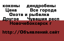 коконы    дендробены › Цена ­ 25 - Все города Охота и рыбалка » Другое   . Чувашия респ.,Новочебоксарск г.